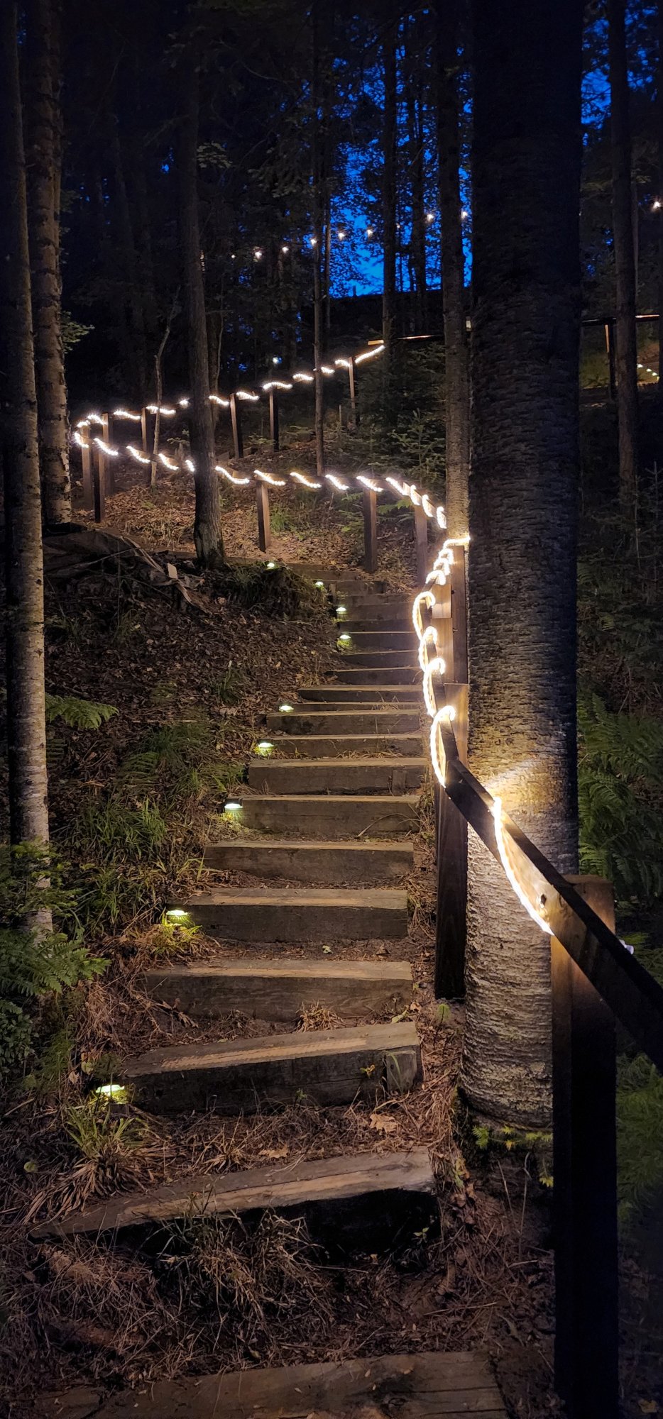 Exterior stairs string lights night